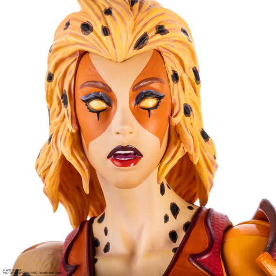 ThunderCats - Cheetara 1/6 Scale Figure - Limited Edition