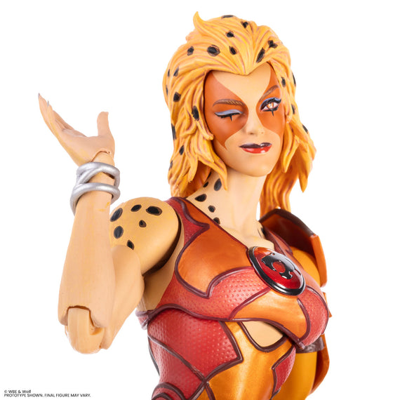 ThunderCats - Cheetara 1/6 Scale Figure - Limited Edition